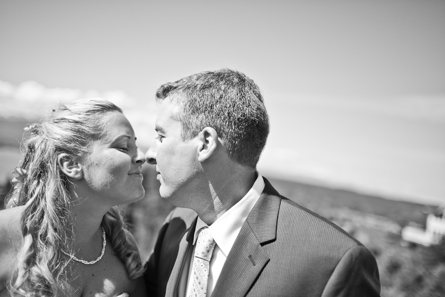 Terra + Mark