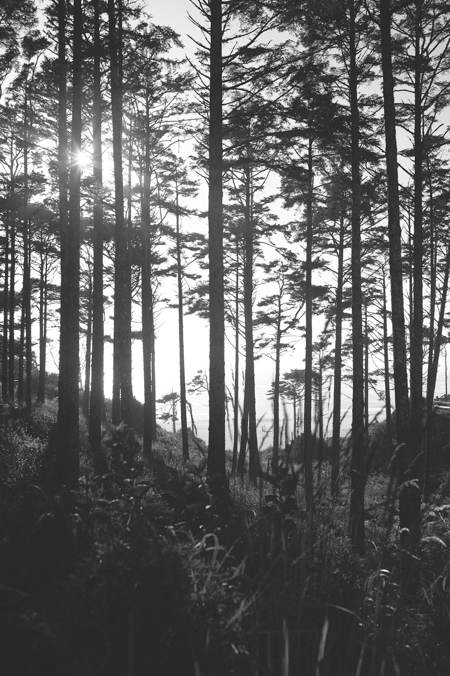 Washington Coast